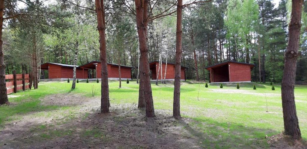 Domki Wrzosowe Wzgorza Nr2 Horyniec Eksteriør bilde