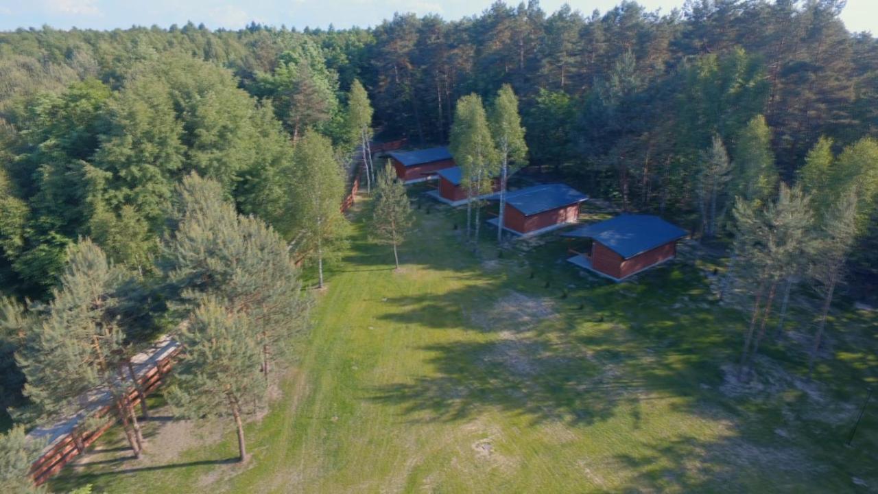Domki Wrzosowe Wzgorza Nr2 Horyniec Eksteriør bilde